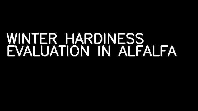WINTER HARDINESS EVALUATION IN ALFALFA