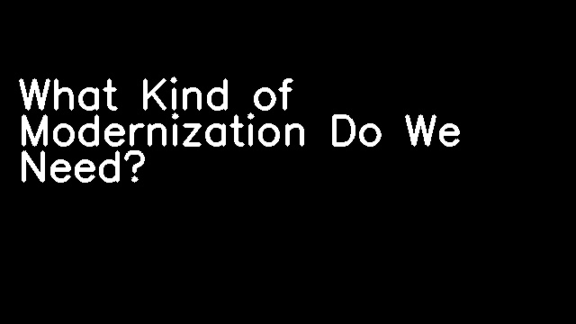 What Kind of Modernization Do We Need?