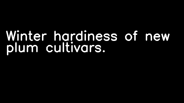 Winter hardiness of new plum cultivars.